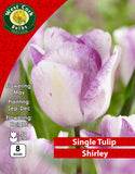Single Tulip Shirley - Green's of Ireland Online Garden Shop. Tulips, West Cork Bulbs, Daffodil Bulbs, Tulip Bulbs, Crocus Bulbs, Autumn Bulbs, Bulbs, Cheap Bulbs