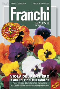 Flowers Seed Swiss Pansy - Green's of Ireland Online Garden Shop.  Vegetable Seeds, Franchi, Daffodil Bulbs, Tulip Bulbs, Crocus Bulbs, Autumn Bulbs, Bulbs, Cheap Bulbs