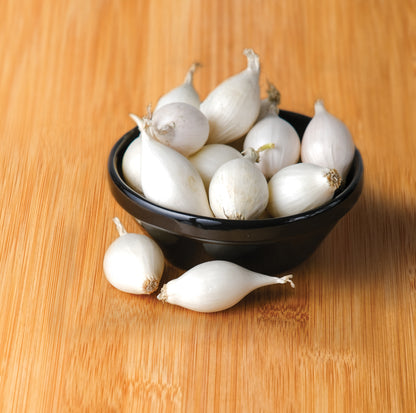 Onion Sets <p>White Snowball <p>75 Bulbs Pack</p> - Green's of Ireland Online Garden Shop.  Onion Sets, West Cork Bulbs, Daffodil Bulbs, Tulip Bulbs, Crocus Bulbs, Autumn Bulbs, Bulbs, Cheap Bulbs