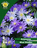 Anemone Blue Shades - Green's of Ireland Online Garden Shop. Anemones, West Cork Bulbs, Daffodil Bulbs, Tulip Bulbs, Crocus Bulbs, Autumn Bulbs, Bulbs, Cheap Bulbs