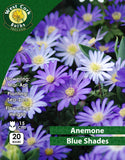 Anemone Blue Shades - Green's of Ireland Online Garden Shop. Anemones, West Cork Bulbs, Daffodil Bulbs, Tulip Bulbs, Crocus Bulbs, Autumn Bulbs, Bulbs, Cheap Bulbs