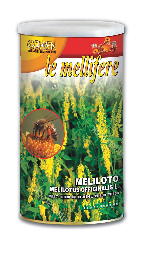 Flowers Seed Sweet Melilot Beekeepers' Range - Green's of Ireland Online Garden Shop.  Vegetable Seeds, Franchi, Daffodil Bulbs, Tulip Bulbs, Crocus Bulbs, Autumn Bulbs, Bulbs, Cheap Bulbs