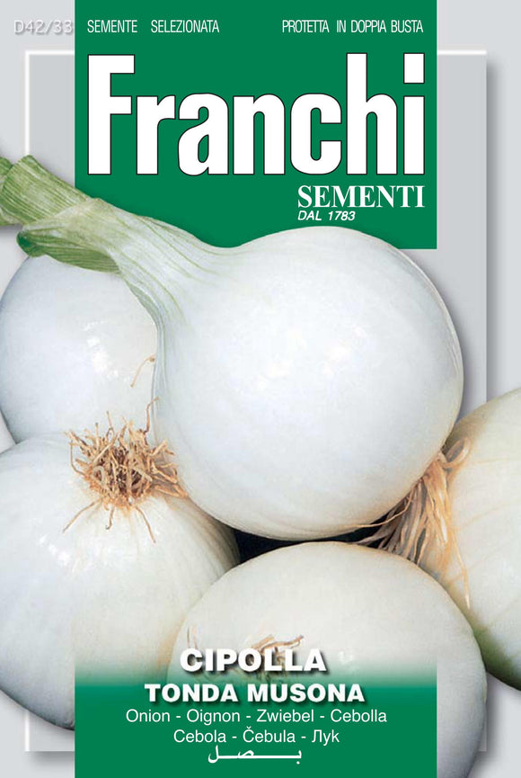 White Onion 'Tonda Musona' - Green's of Ireland Online Garden Shop.  Vegetable Seeds, Franchi, Daffodil Bulbs, Tulip Bulbs, Crocus Bulbs, Autumn Bulbs, Bulbs, Cheap Bulbs