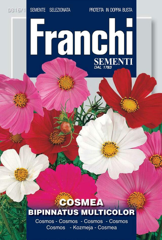 Flowers Seed Cosmos bipinnatus - Green's of Ireland Online Garden Shop.  Vegetable Seeds, Franchi, Daffodil Bulbs, Tulip Bulbs, Crocus Bulbs, Autumn Bulbs, Bulbs, Cheap Bulbs