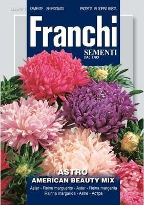 Flowers Seed Aster American Beauty - Green's of Ireland Online Garden Shop.  Vegetable Seeds, Franchi, Daffodil Bulbs, Tulip Bulbs, Crocus Bulbs, Autumn Bulbs, Bulbs, Cheap Bulbs