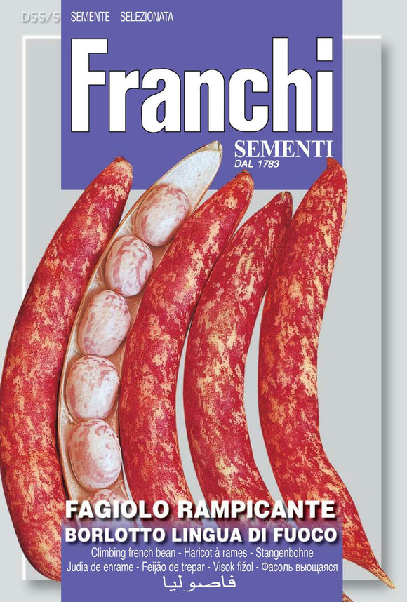 French Beans 'Fire-Tongue'
