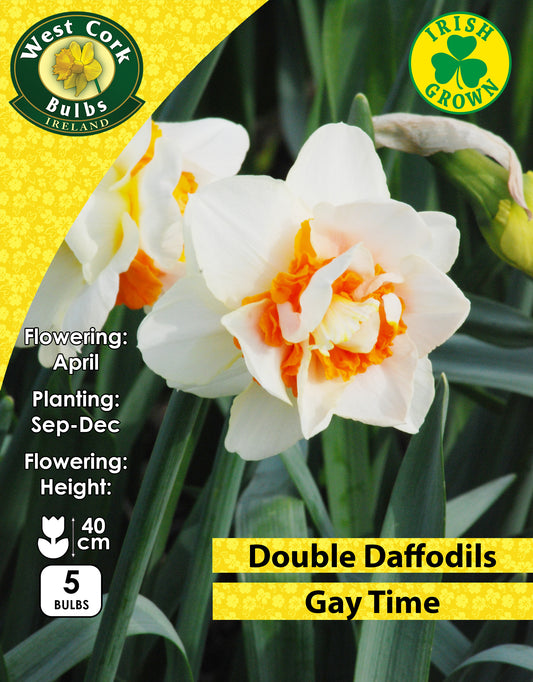Double Daffodils Gay Time - Green's of Ireland Online Garden Shop. Flower Bulbs, West Cork Bulbs, Daffodil Bulbs, Tulip Bulbs, Crocus Bulbs, Autumn Bulbs, Bulbs, Cheap Bulbs