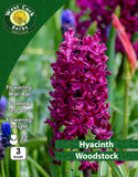 Hyacinth Woodstock - Green's of Ireland Online Garden Shop. Hyacinth, West Cork Bulbs, Daffodil Bulbs, Tulip Bulbs, Crocus Bulbs, Autumn Bulbs, Bulbs, Cheap Bulbs