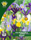 Iris Hollandica Mixed - Green's of Ireland Online Garden Shop. Iris, West Cork Bulbs, Daffodil Bulbs, Tulip Bulbs, Crocus Bulbs, Autumn Bulbs, Bulbs, Cheap Bulbs