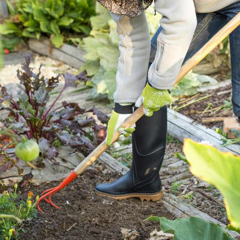 Gloves <p>"Jardy"</p> - Green's of Ireland Online Garden Shop.  Gloves, BlackFox, Daffodil Bulbs, Tulip Bulbs, Crocus Bulbs, Autumn Bulbs, Bulbs, Cheap Bulbs