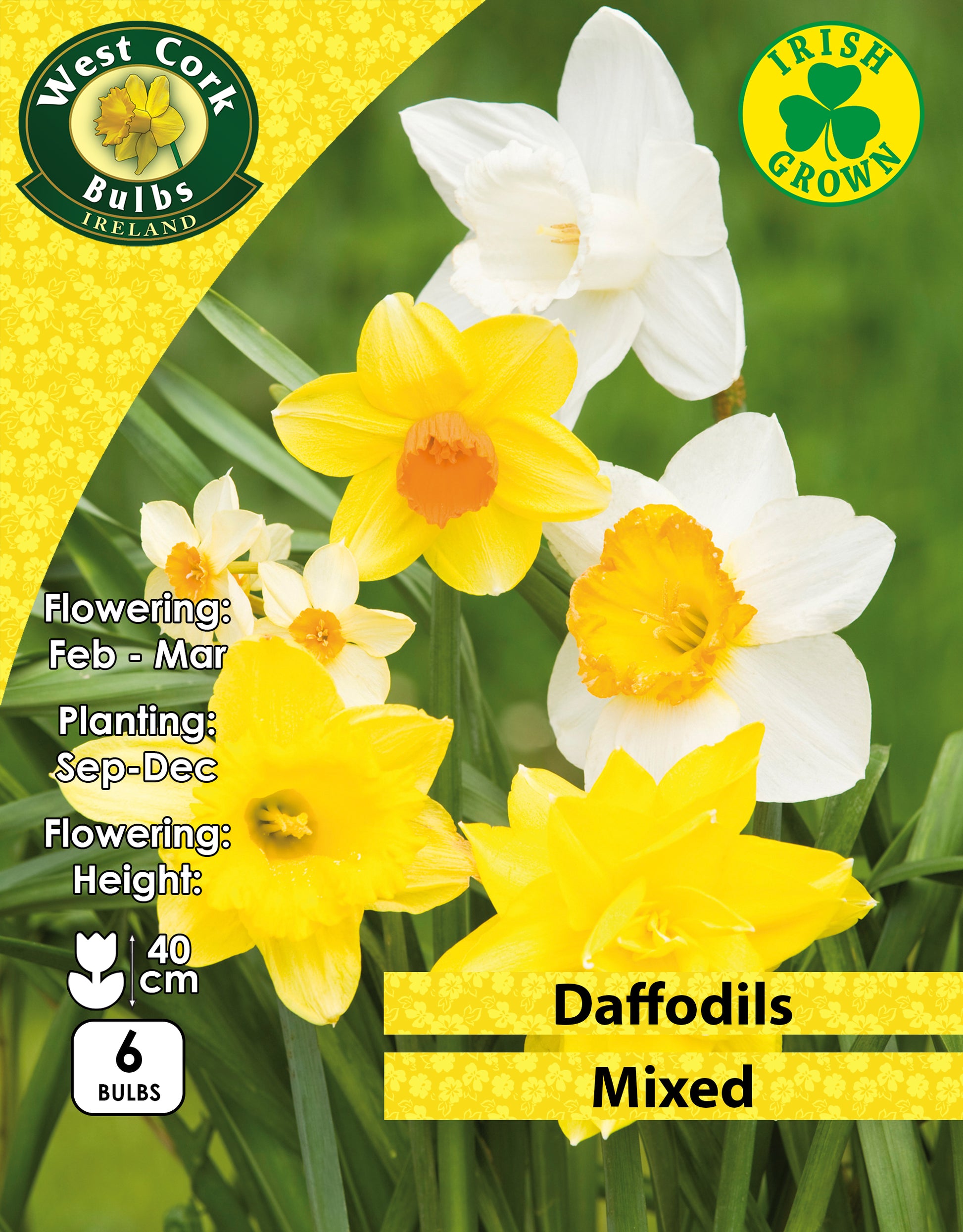 Daffodils Mixed Varieties - Green's of Ireland Online Garden Shop. Flower Bulbs, West Cork Bulbs, Daffodil Bulbs, Tulip Bulbs, Crocus Bulbs, Autumn Bulbs, Bulbs, Cheap Bulbs