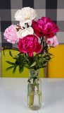 Irish Grown Peonies <p>Three Colour Mix</p> - Green's of Ireland Online Garden Shop.  Cut Flowers, Killowen Orchard, Daffodil Bulbs, Tulip Bulbs, Crocus Bulbs, Autumn Bulbs, Bulbs, Cheap Bulbs