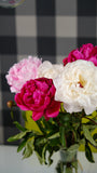 Irish Grown Peonies <p>Three Colour Mix</p> - Green's of Ireland Online Garden Shop.  Cut Flowers, Killowen Orchard, Daffodil Bulbs, Tulip Bulbs, Crocus Bulbs, Autumn Bulbs, Bulbs, Cheap Bulbs