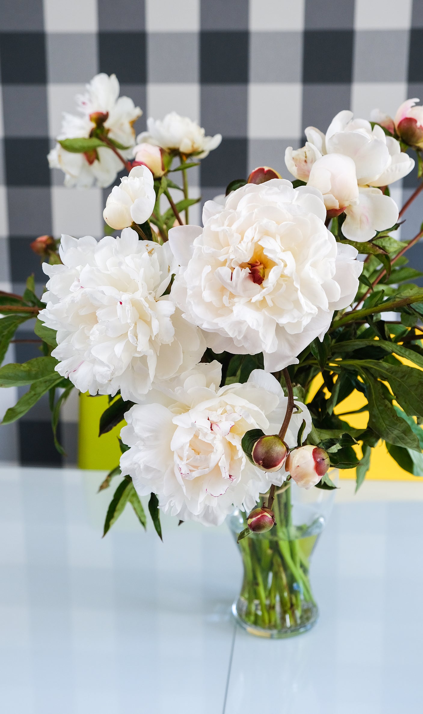 Irish Grown Peonies <p>Festiva Maxima</p> - Green's of Ireland Online Garden Shop.  Cut Flowers, Killowen Orchard, Daffodil Bulbs, Tulip Bulbs, Crocus Bulbs, Autumn Bulbs, Bulbs, Cheap Bulbs