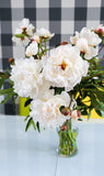 Irish Grown Peonies <p>Festiva Maxima</p> - Green's of Ireland Online Garden Shop.  Cut Flowers, Killowen Orchard, Daffodil Bulbs, Tulip Bulbs, Crocus Bulbs, Autumn Bulbs, Bulbs, Cheap Bulbs