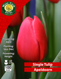 Single Tulip Apeldoorn - Green's of Ireland Online Garden Shop. Tulips, West Cork Bulbs, Daffodil Bulbs, Tulip Bulbs, Crocus Bulbs, Autumn Bulbs, Bulbs, Cheap Bulbs