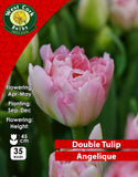 Double Tulip Angelique - Green's of Ireland Online Garden Shop. Tulips, West Cork Bulbs, Daffodil Bulbs, Tulip Bulbs, Crocus Bulbs, Autumn Bulbs, Bulbs, Cheap Bulbs