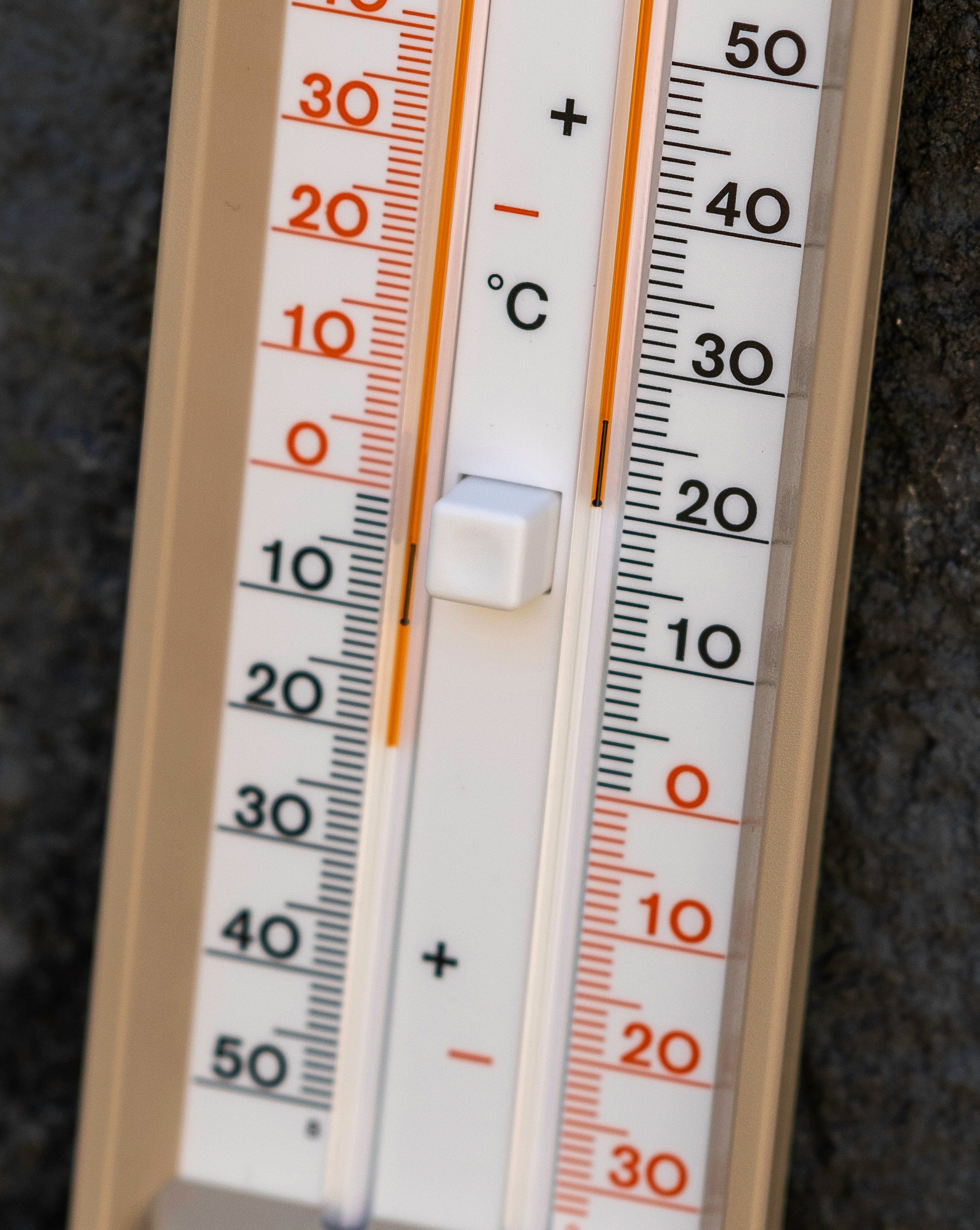 Garden Accessories <p>Mini Max Thermometer</p> - Green's of Ireland Online Garden Shop.  Accesories, BlackFox, Daffodil Bulbs, Tulip Bulbs, Crocus Bulbs, Autumn Bulbs, Bulbs, Cheap Bulbs