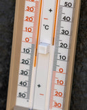 Garden Accessories <p>Mini Max Thermometer</p> - Green's of Ireland Online Garden Shop.  Accesories, BlackFox, Daffodil Bulbs, Tulip Bulbs, Crocus Bulbs, Autumn Bulbs, Bulbs, Cheap Bulbs
