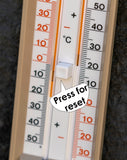 Garden Accessories <p>Mini Max Thermometer</p> - Green's of Ireland Online Garden Shop.  Accesories, BlackFox, Daffodil Bulbs, Tulip Bulbs, Crocus Bulbs, Autumn Bulbs, Bulbs, Cheap Bulbs