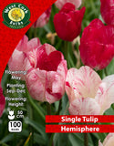 Single Tulip Hemisphere - Green's of Ireland Online Garden Shop. Tulips, West Cork Bulbs, Daffodil Bulbs, Tulip Bulbs, Crocus Bulbs, Autumn Bulbs, Bulbs, Cheap Bulbs