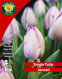 Single Tulip Jacuzzi - Green's of Ireland Online Garden Shop. Tulips, West Cork Bulbs, Daffodil Bulbs, Tulip Bulbs, Crocus Bulbs, Autumn Bulbs, Bulbs, Cheap Bulbs