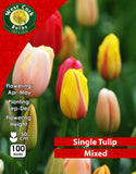 Single Tulip Mixed - Green's of Ireland Online Garden Shop. Tulips, West Cork Bulbs, Daffodil Bulbs, Tulip Bulbs, Crocus Bulbs, Autumn Bulbs, Bulbs, Cheap Bulbs