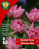 Double Tulip Mamma Mia - Green's of Ireland Online Garden Shop. Tulips, West Cork Bulbs, Daffodil Bulbs, Tulip Bulbs, Crocus Bulbs, Autumn Bulbs, Bulbs, Cheap Bulbs