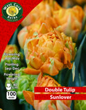 Double Tulip Sunlover - Green's of Ireland Online Garden Shop. Tulips, West Cork Bulbs, Daffodil Bulbs, Tulip Bulbs, Crocus Bulbs, Autumn Bulbs, Bulbs, Cheap Bulbs