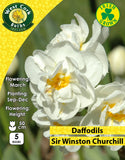 Multiheaded Daffodils Sir Winston Churchill - Green's of Ireland Online Garden Shop. Flower Bulbs, West Cork Bulbs, Daffodil Bulbs, Tulip Bulbs, Crocus Bulbs, Autumn Bulbs, Bulbs, Cheap Bulbs